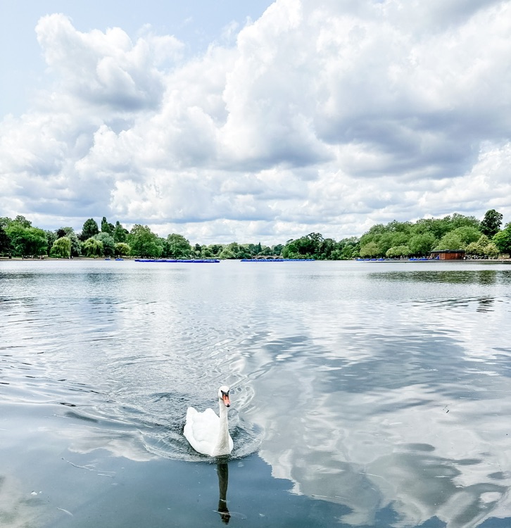 A photo of Hyde Park