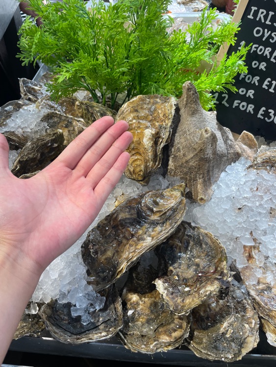 A photo of Borough Market