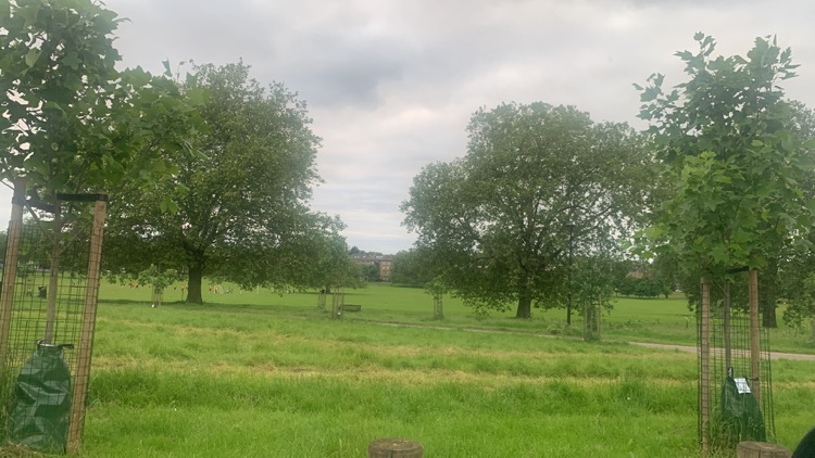 A photo of Peckham Rye Park