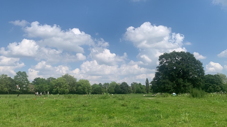 A photo of Peckham Rye Park