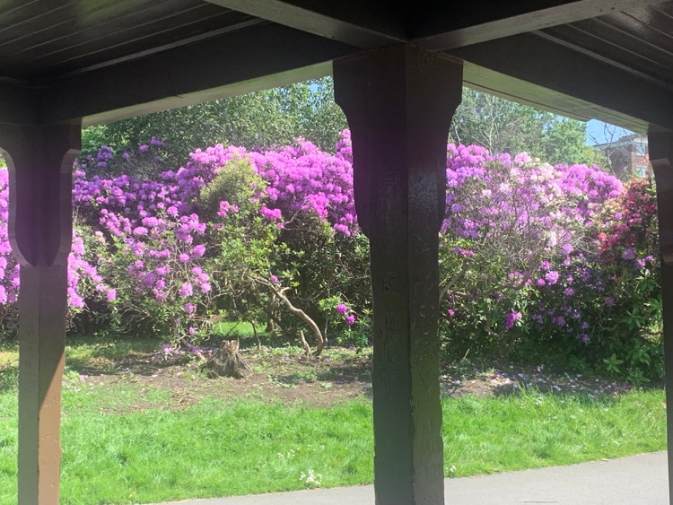 A photo of Dulwich Park