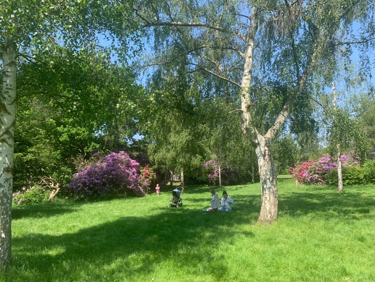 A photo of Dulwich Park