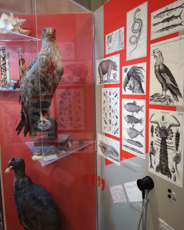 A photo of Muzeum Uniwersytetu Warszawskiego