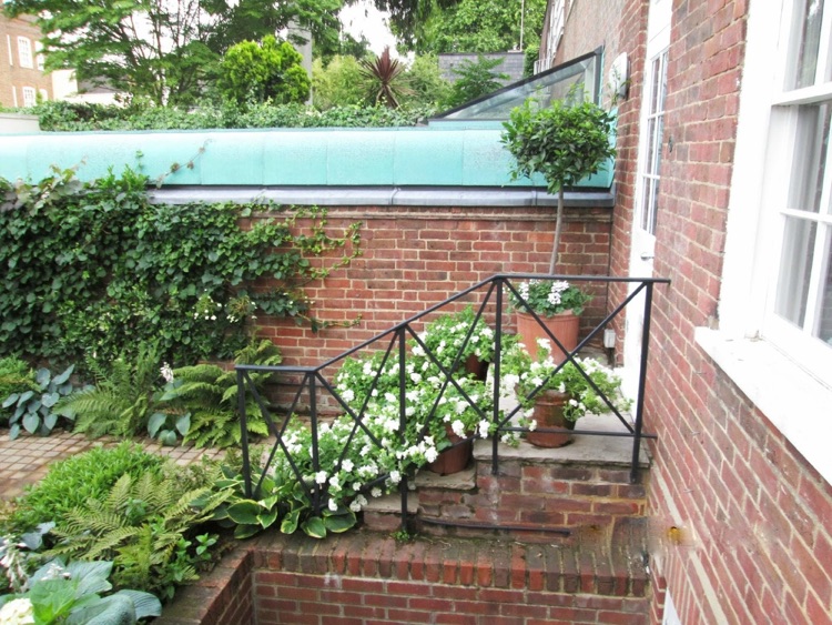 Garden was in full bloom. This is stairway to kitchen there are two.