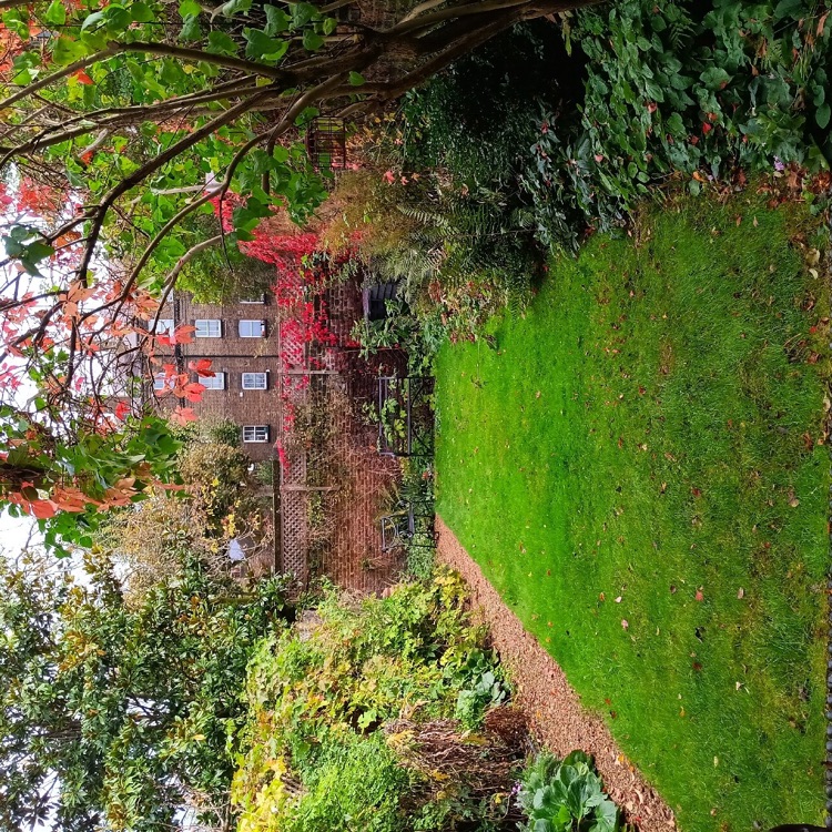 A photo of Carlyle's House