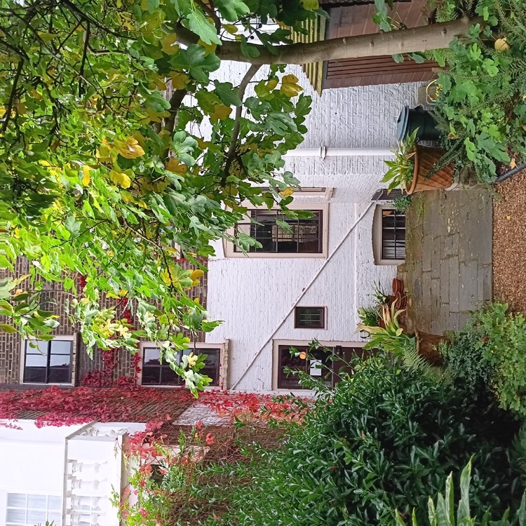 A photo of Carlyle's House