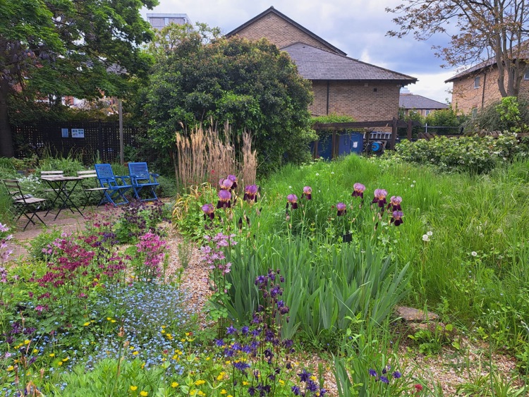 A photo of St Mary's Secret Garden