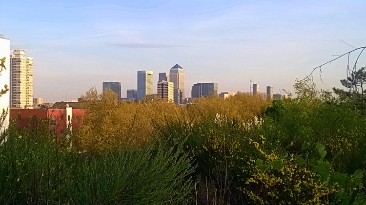 A photo of Mile End Park