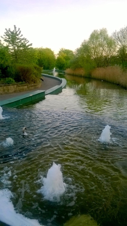 A photo of Mile End Park