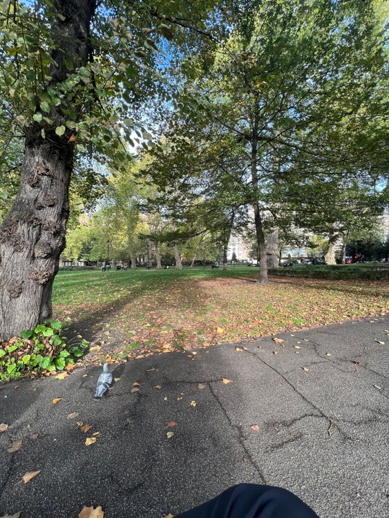 A photo of Russell Square Gardens