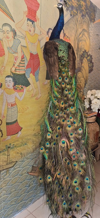 A photo of Chern Thai