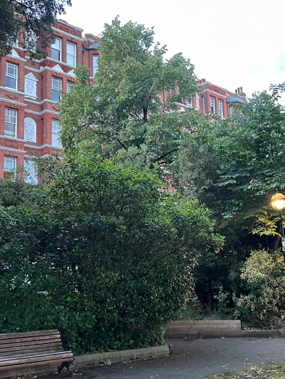 A photo of Chelsea Embankment Gardens