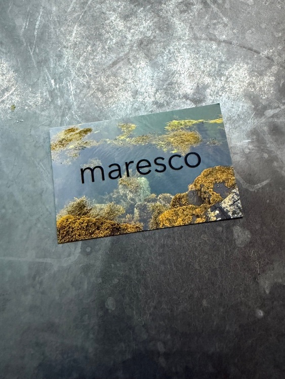 Фото: Maresco