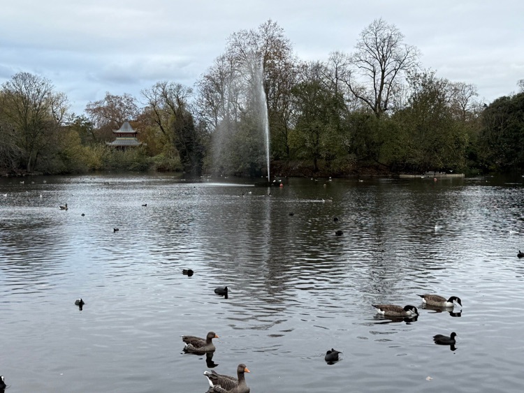 A photo of Victoria Park