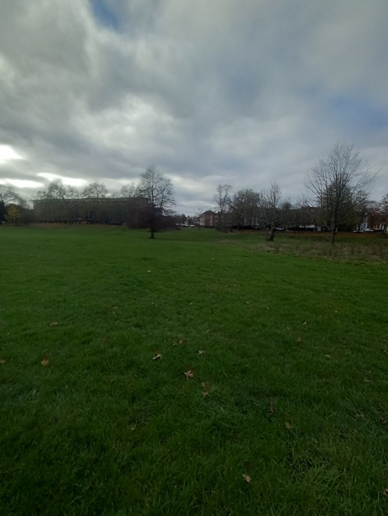 A photo of Peckham Rye Park