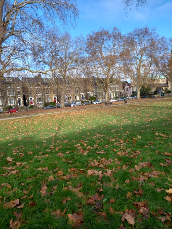A photo of Peckham Rye Park