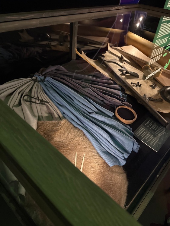 A photo of Vikings: The Immersive Exhibition - London