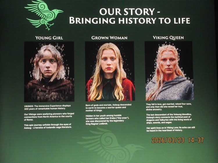 A photo of Vikings: The Immersive Exhibition - London