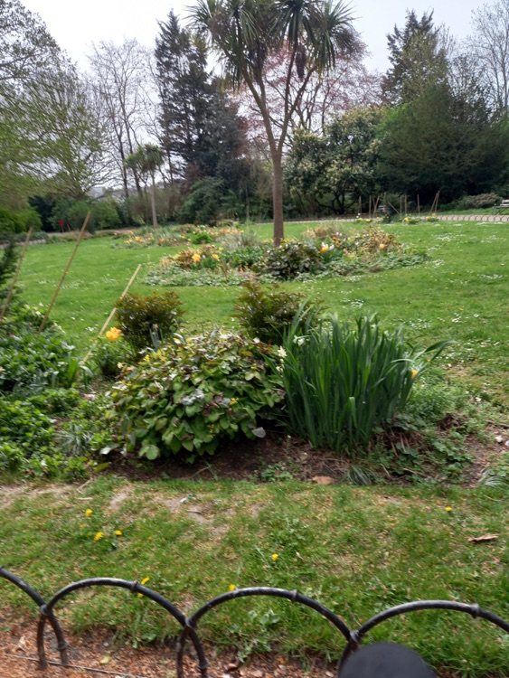 A photo of Peckham Rye Park