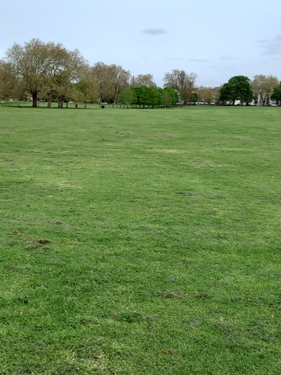 A photo of Peckham Rye Park