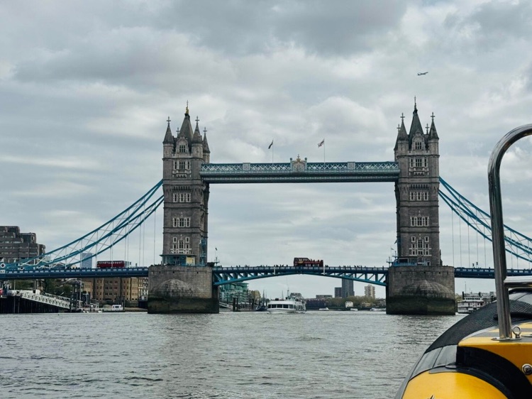 A photo of Thames RIB Experience