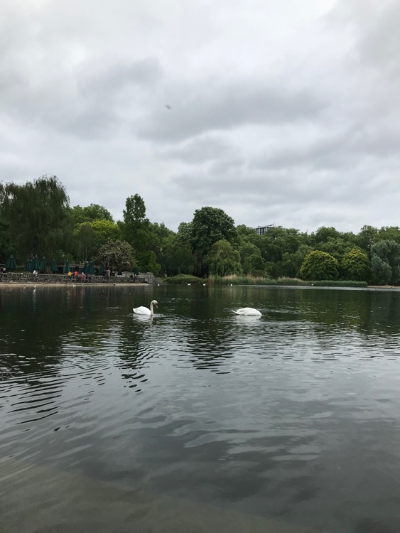 A photo of Hyde Park
