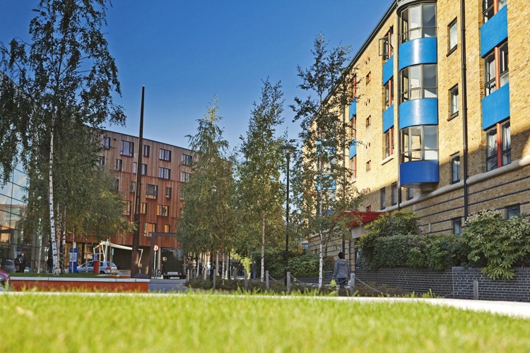 Westfield Way Approach to Reception