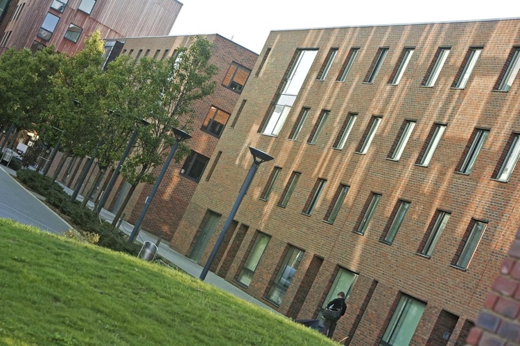 Modern Buildings in the Village