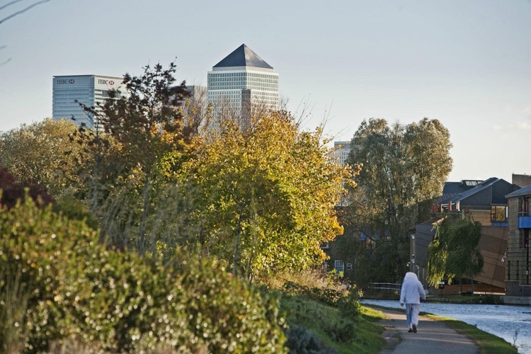 Canary Wharf View from Campus