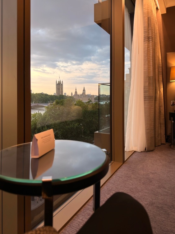 A photo of Hyatt Regency London Albert Embankment