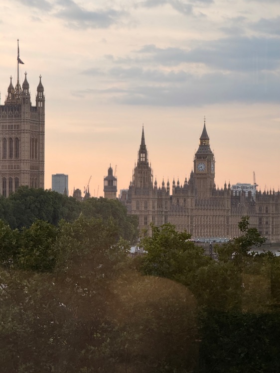 A photo of Hyatt Regency London Albert Embankment