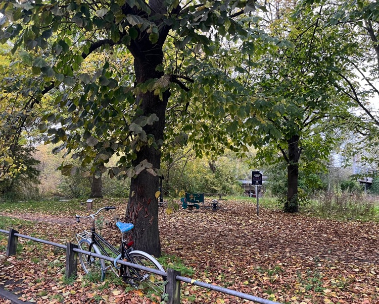 A photo of Mile End Park