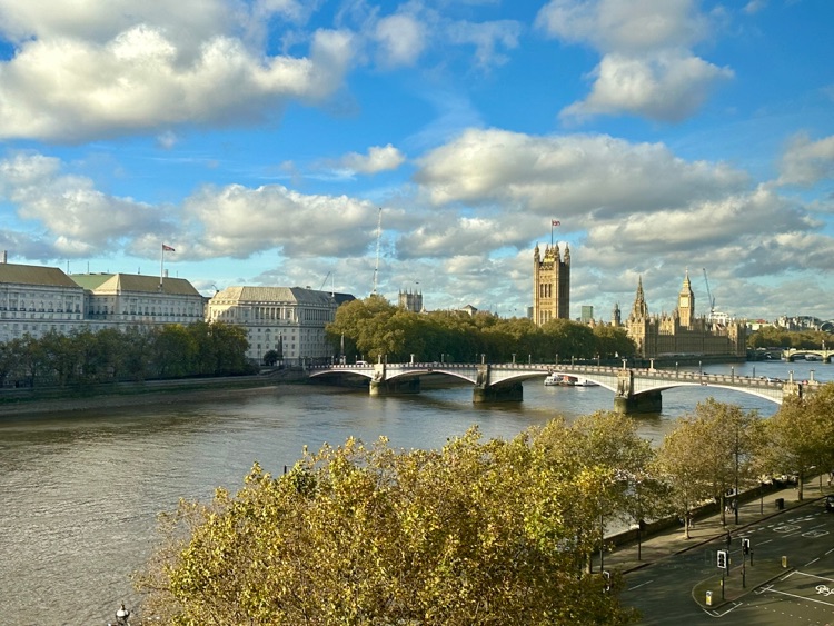 A photo of Hyatt Regency London Albert Embankment