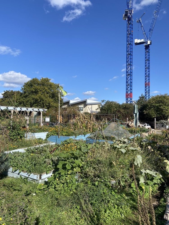 A photo of Glengall Wharf Garden