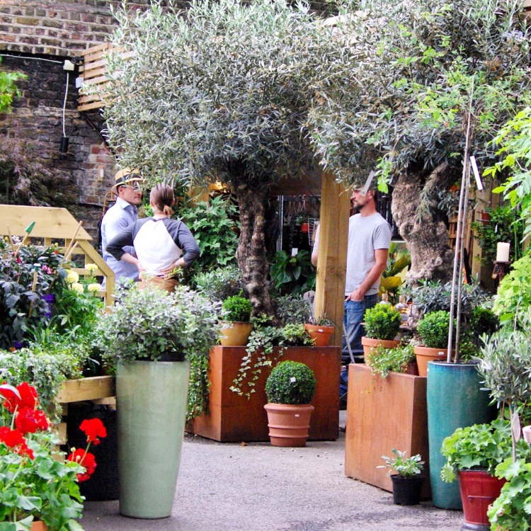 A photo of The Nunhead Gardener