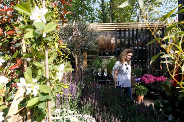 A photo of The Nunhead Gardener