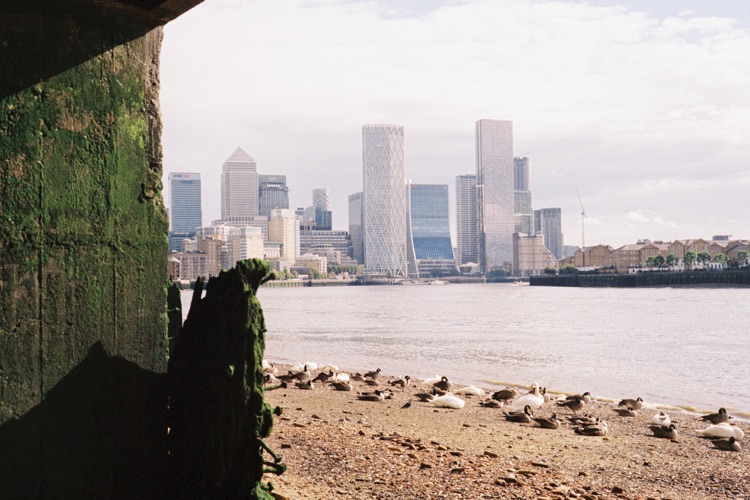 A photo of Stepney Beach