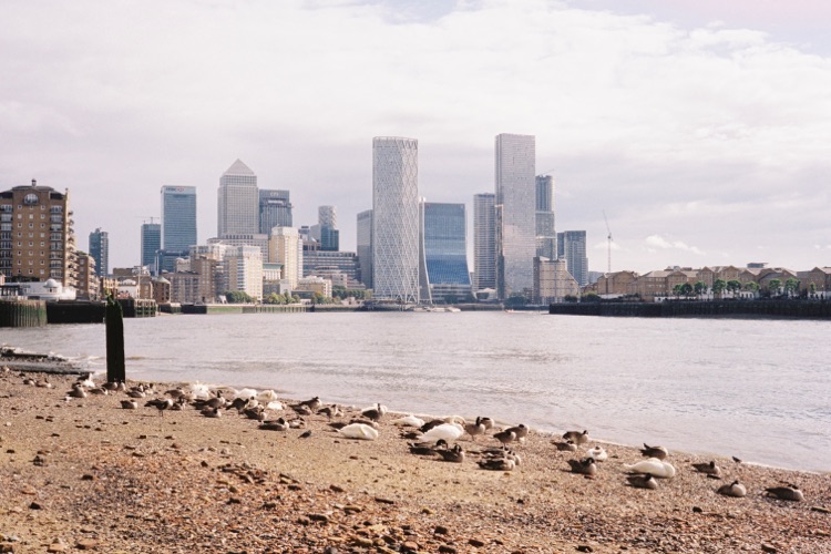 A photo of Stepney Beach