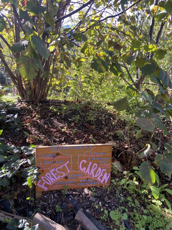 A photo of Glengall Wharf Garden