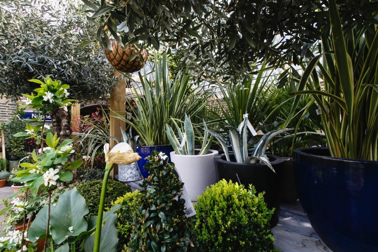 A photo of The Nunhead Gardener