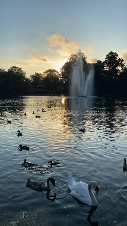 A photo of Victoria Park