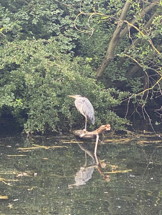 A photo of Victoria Park