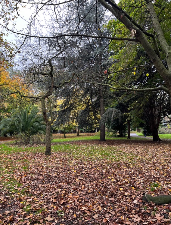 A photo of Bethnal Green Gardens
