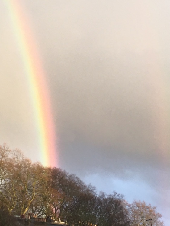 A photo of Battersea Park