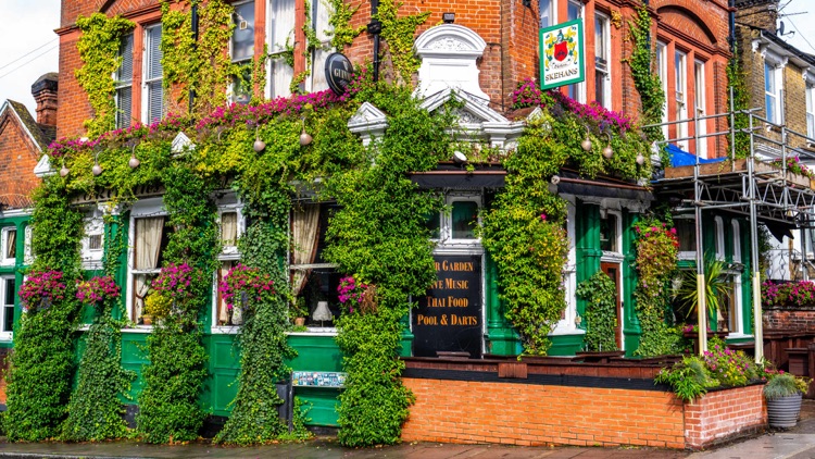 A photo of Skehan's Free House