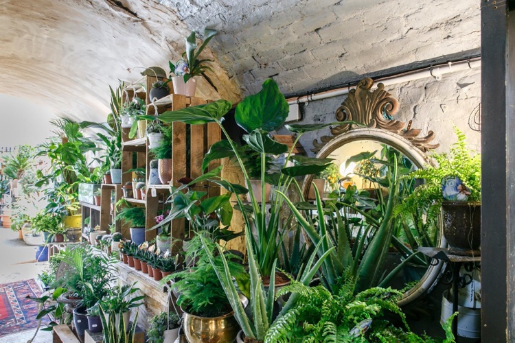 A photo of The Nunhead Gardener