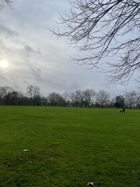 A photo of Hyde Park