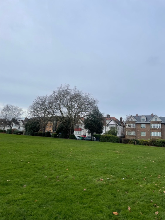 A photo of Hyde Park
