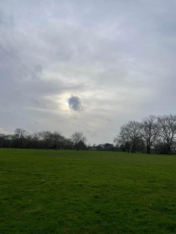 A photo of Hyde Park