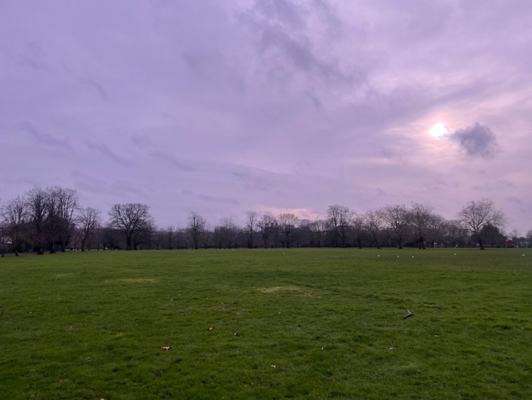 A photo of Hyde Park